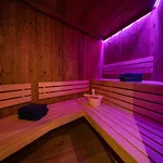 Apartment Adlerhorst 2 Zell Am With Private Sauna And In Summer Zell Am Kaprun Summercard Zell am See