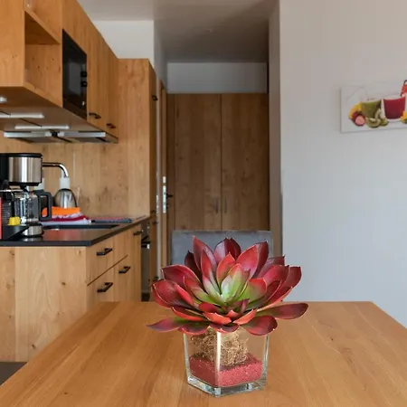 Adlerhorst 2 Zell Am With Private Sauna * Zell am See