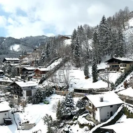 Adlerhorst 2 Zell Am With Private Sauna * Zell am See