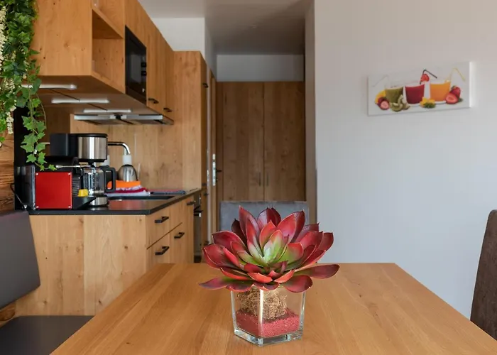 Adlerhorst 2 Zell Am With Private Sauna And In Summer Zell Am Kaprun Summercard * 滨湖采尔