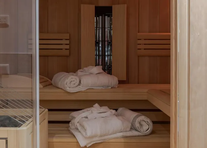 Adlerhorst 2 Zell Am With Private Sauna And In Summer Zell Am Kaprun Summercard 公寓 滨湖采尔