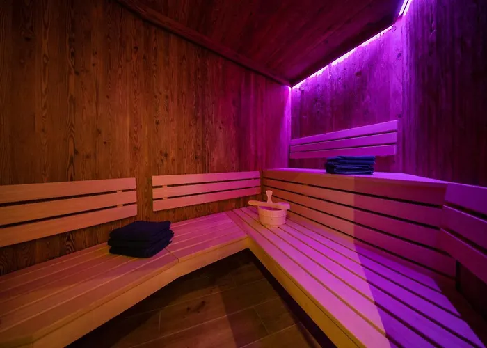 公寓 Adlerhorst 2 Zell Am With Private Sauna And In Summer Zell Am Kaprun Summercard 滨湖采尔